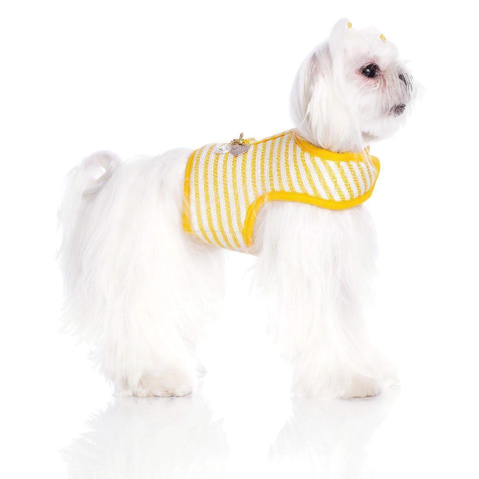 Amber Cloth Dog Harness