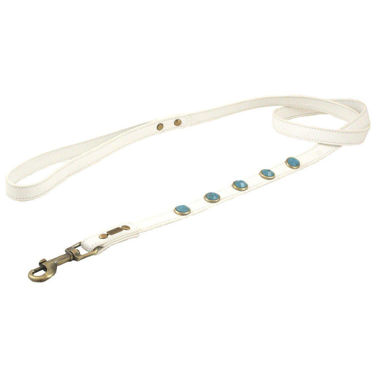 Turquoise Pebble Dog Leash
